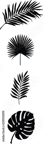 Картината върху платно Four distinct black silhouettes of tropical leaves on a white background Keyword