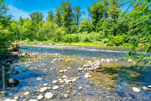 Washington River In Summer 4