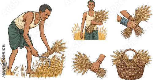 Quadro su tela Traditional Rice Harvesting Collection with Farmer Cutting Paddy, Grain Bundles
