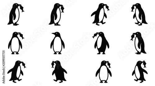 Obraz na płótnie Collection of twelve black penguin silhouettes in various poses, most holding a small fish in their beak, isolated on a white background for minimalist wildlife vector illustration