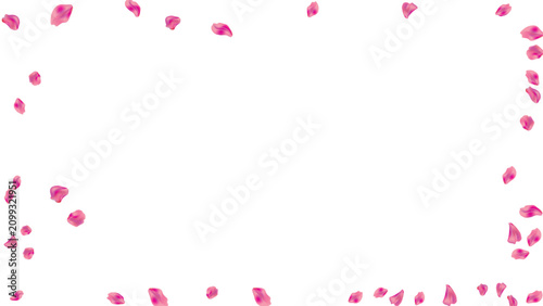 petals pink border frame rose floral love passion template pattern nature romantic card vector graphic illustration isolated layout
