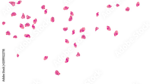 Cuadro en lienzo floral background falling shower top petals pink rose border romance love valent