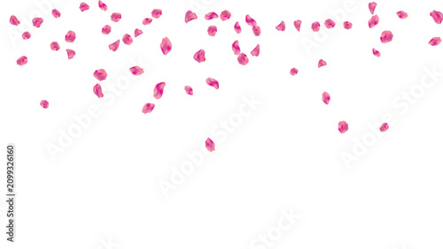 rose pink falling background floral petals shower romantic top border nature blossom layout vector graphic illustration isolated fly