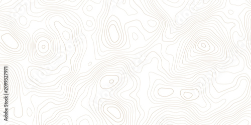 Canvastavla Soft minimalist topographic contour line abstract background with topography abs