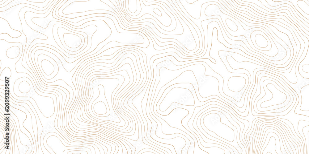 Fototapeta premium Organic topographic map lines pattern in subtle brown with topographic abstract elevation geography cartography minimalist geological background