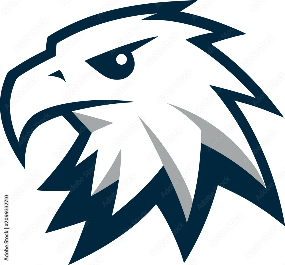Fototapeta premium Professional Eagle Icon Clean Flat Vector Illustration