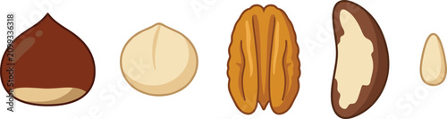 Foto Healthy Organic Gourmet Nuts Vector Icon Set with Chestnut Macadamia Pecan Brazi