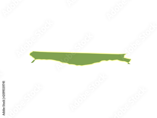 Quadro su tela A single long green leaf with a thin yellow margin edge