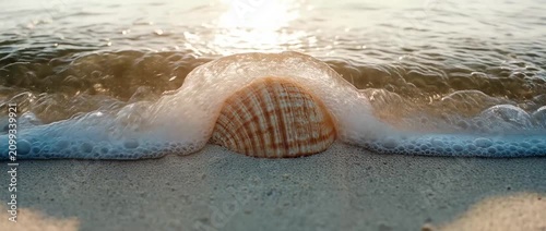Seashell on Sandy Beach at Sunset with Gentle Ocean Waves Rolling In