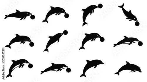 Fotografi Twelve black dolphin silhouettes illustrating various poses like jumping, diving, and balancing balls on their snouts, set against a plain white background for vector design elements