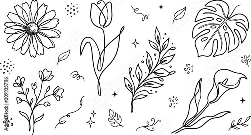 Foto Minimalist Botanical Floral Line Art Collection with Continuous Line Tulip Daisy