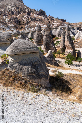 vertical photography of rock formations called fairy chimneys and mountain in Pasabag, cappadocia on a summer day.