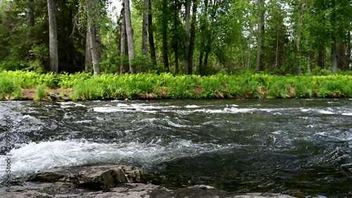 Cuadro en lienzo Russian River Conservation