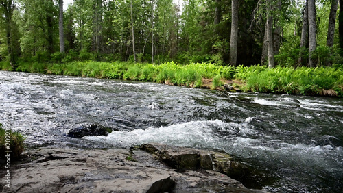 Quadro su tela Russian River Conservation
