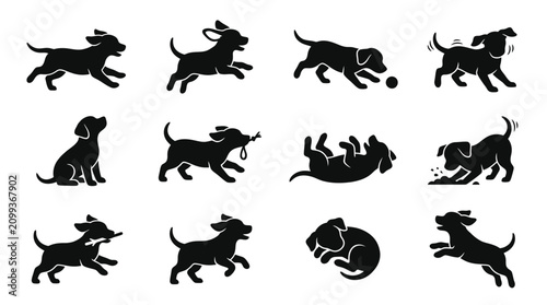 Foto Dog Silhouettes Collection Black Shapes On White Background