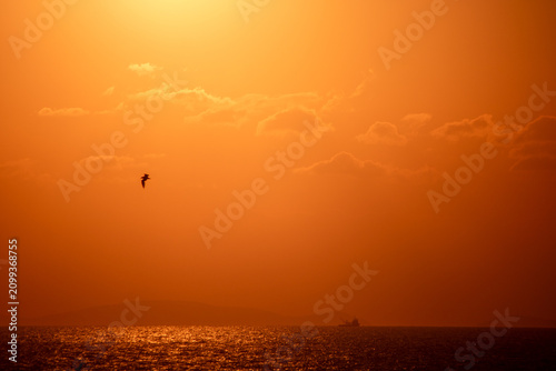 sunset views of the sea and the city
