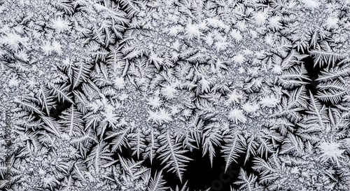 Intricate white frost crystals on a black background