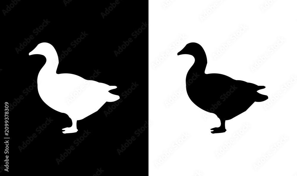 Fototapeta premium duck silhouette vector illustration, black silhouette of duck vector illustration, animal's silhouettes vector, illustration, art, design, vector, silhouettes, silhouette, symbol, icons, icon, logo, 