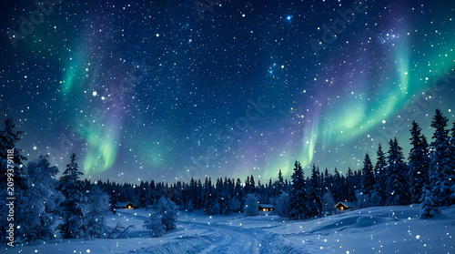 Northern lights over a snowy forest with pine trees and starry night sky