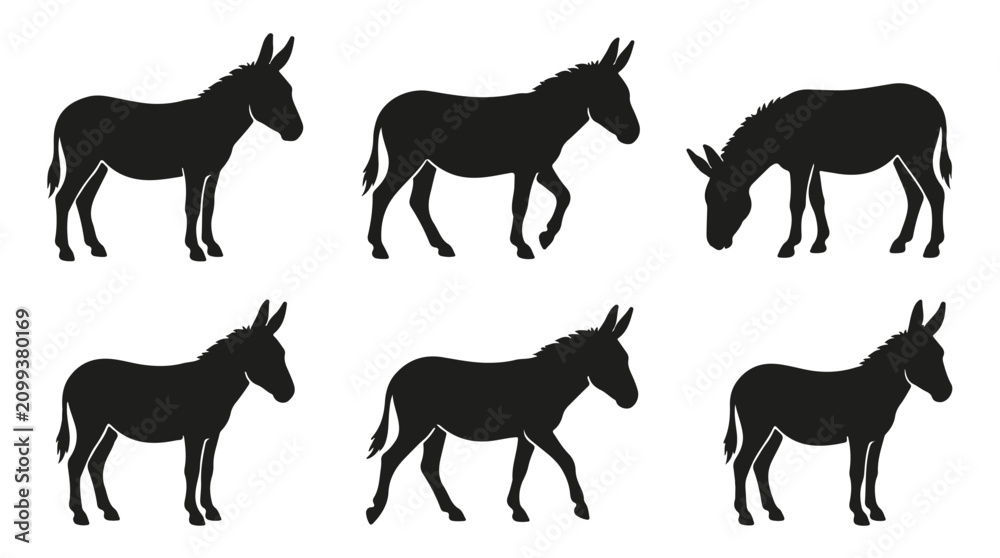 Fototapeta premium Black donkey silhouette standing isolated on white background 