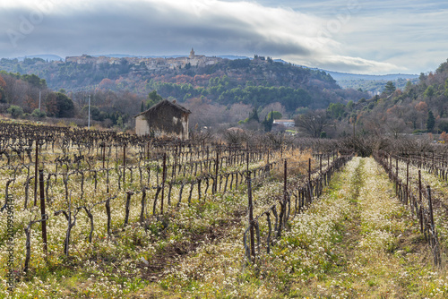 Cuadro en lienzo Venasque village overseeing winter vineyard in Provence, France