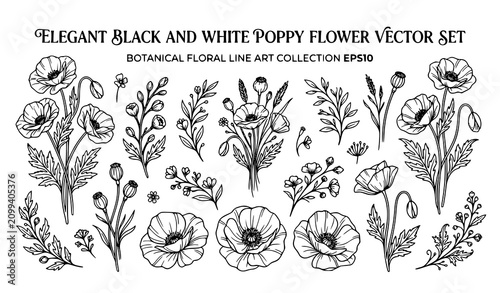 Create a premium vector illustration featuring 30 unique black and white poppy flower illustrations isolated on a solid white background. Include fully bloomed poppies, opening blossoms, closed buds, 