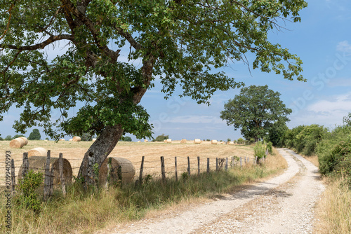 Rural road between pastures, trees and bales of dry grass