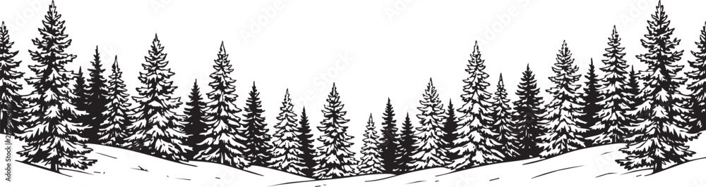 Fototapeta premium Snowy forest landscape with pine trees on a hill in winter