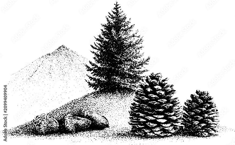 Obraz premium Monochrome douglas fir tree and large pine cones on a mountain slope background for nature illustration and landscape design
