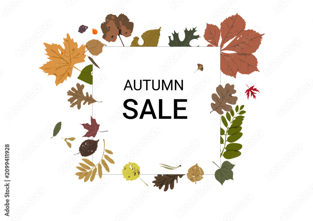 Fototapeta premium Square autumn banner template decorated with colorful fallen tree leaves. Modern seasonal background for social media, promotions, greetings, advertisements, web banners, and marketing designs.