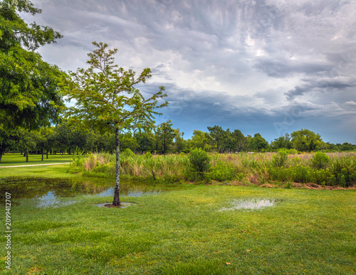 A pause between storms along the Shadow Creek Ranch Nature Trail in Pearland, Texas