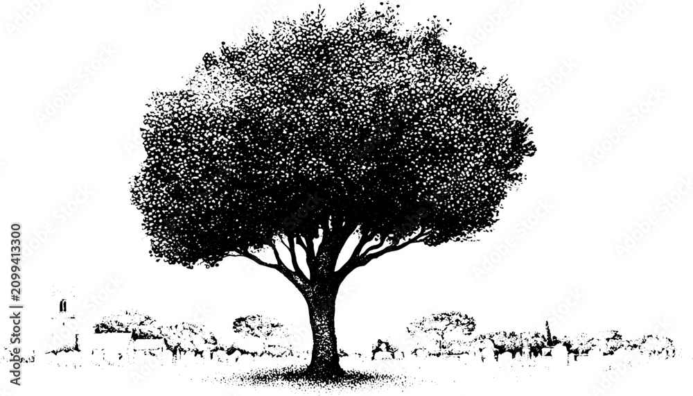 Fototapeta premium Solitary yew tree in churchyard black and white stipple landscape illustration for memorial background and nature design