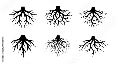 Bild auf Leinwand Root System Vector Icons, Tree Roots Silhouette Set, Plant Foundation Graphics