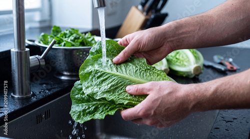 Washing Fresh Green Lettuce Under Kitchen Faucet Water
