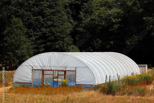 A large polytunnel in a field, for growing and protecting crops.