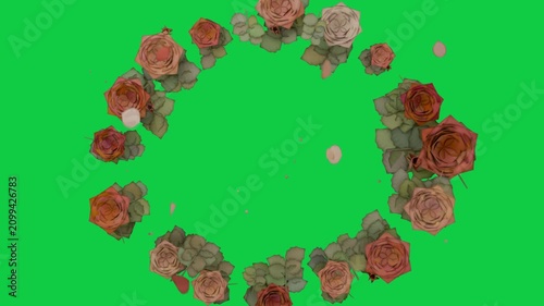 Play starting wreath forming, roses aligning, petals drifting to form center ring on transparent bg