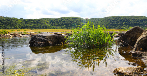 Picturesque stone rapids on the shallow water of a clean river. Picturesque landscape, wild nature in summer. Dniester in Ukraine.