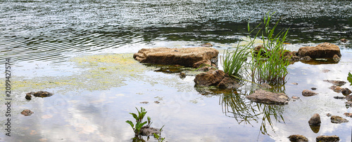Picturesque stone rapids on the shallow water of a clean river. Picturesque landscape, wild nature in summer. Dniester in Ukraine.