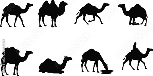 Foto Collection of black camel silhouettes in various poses including walking standin