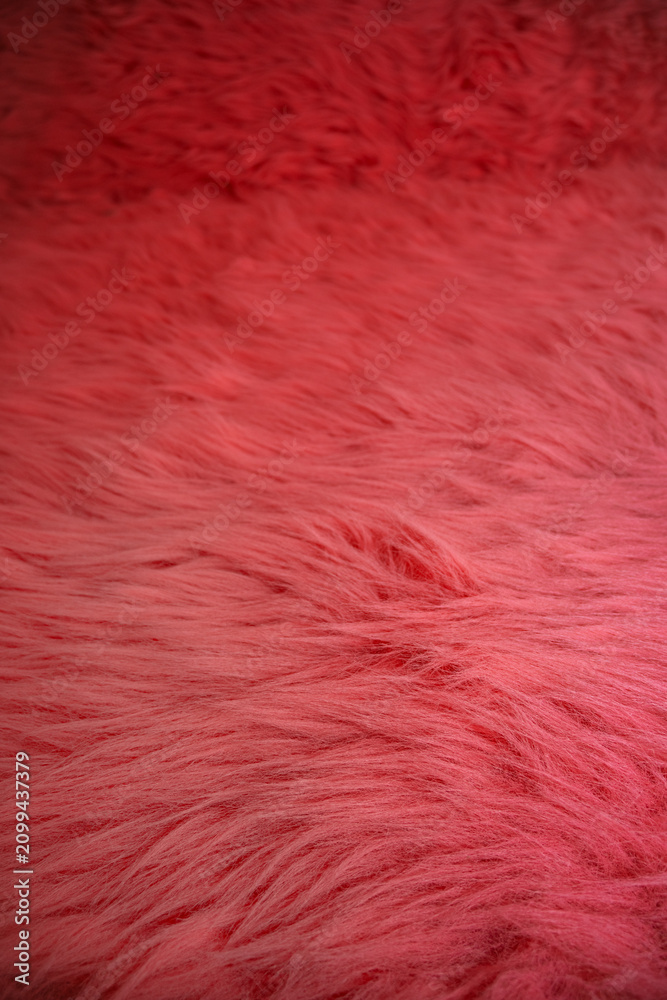 Fototapeta premium Bright red rug with long fibers spread across a wooden floor in a room