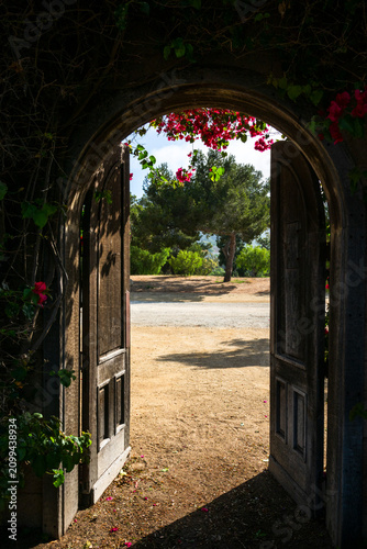 Open wooden garden gate revealing a sunlit path and lush greenery