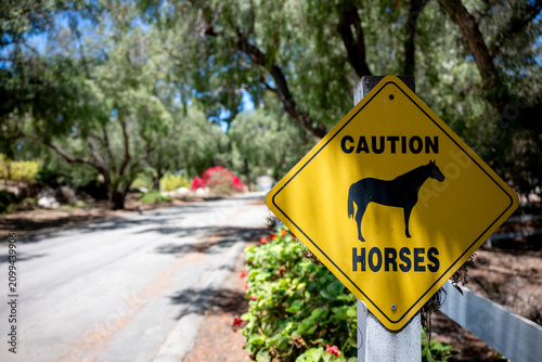 Yellow caution sign warns of horses near a rural road with trees