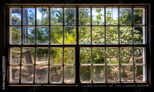 Photography Looking through a dirty old window at a sunlit garden with trees and foliage