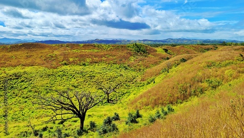 Foto Fijian hillsides display a mix of golden-brown and green grasslands, dotted with sparse trees