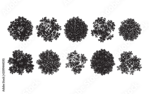 Foto Plan View Tropical Shrub and Tree Crown Silhouettes for CAD Line Art Landscape A