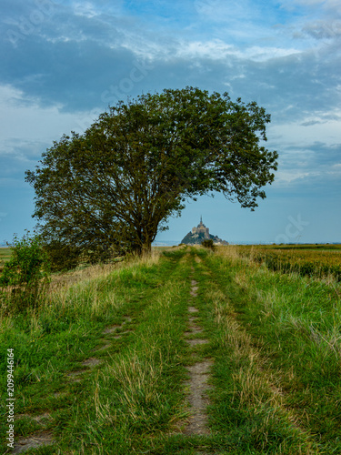 Φωτογραφία Scenic dirt road framed by a beautiful green tree leading to the historic Mont Saint-Michel abbey in Normandy, France