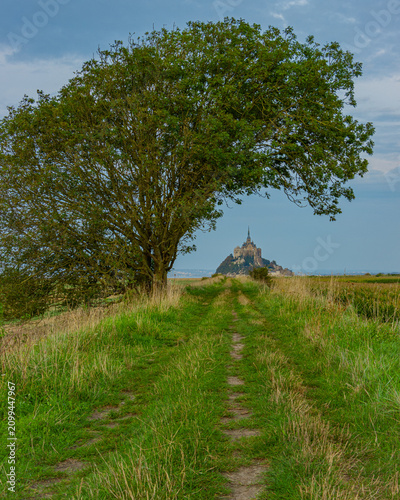 Bild auf Leinwand Mont Saint-Michel abbey framed by a lush green tree and scenic country path in Normandy, France