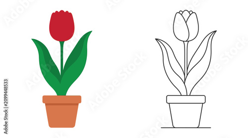 Tulip Flowers In Color And Outline Flat Vector Illustration