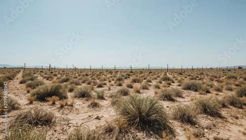 Wide View of Rugged Terrain Under Blue Sky With Sparse Vegetation and Distant...