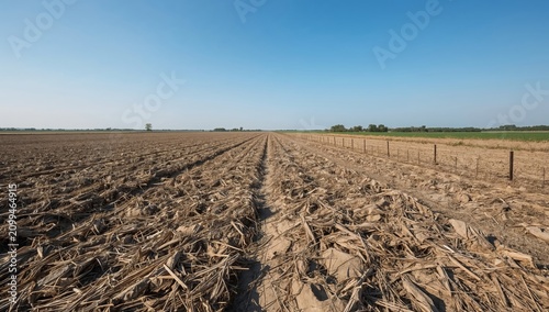 Farm Field With Harvested Crops Under Blue Sky on a Sunny Day in Rural Area